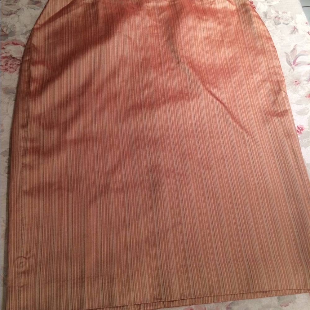 NWOT Dana Buchanan skirt